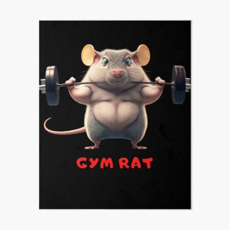 gym rat' Poster, picture, metal print, paint by Sevin Yoga