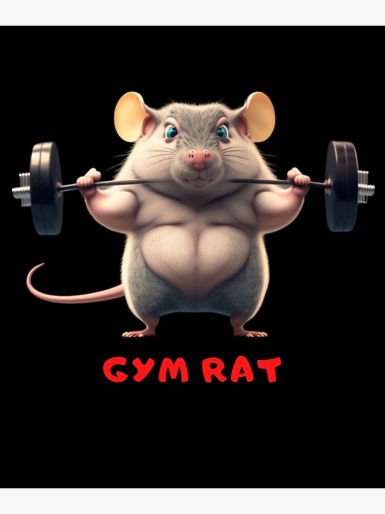 O Que é GYM RATS em Português