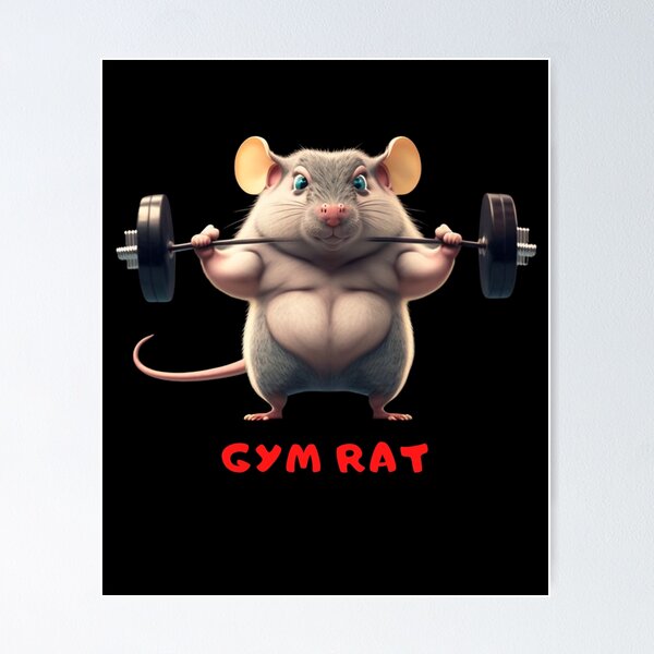 Gym Rat / A cartoon rat works out on the treadmill. Stock Vector