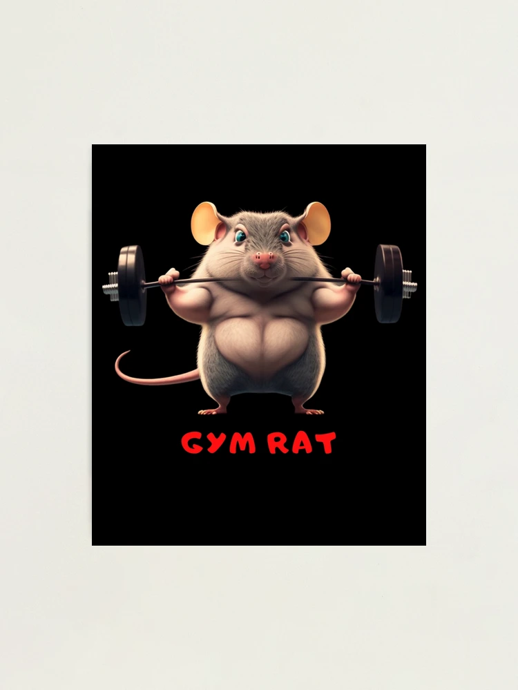 Gym Rat' Poster, picture, metal print, paint by Mesh