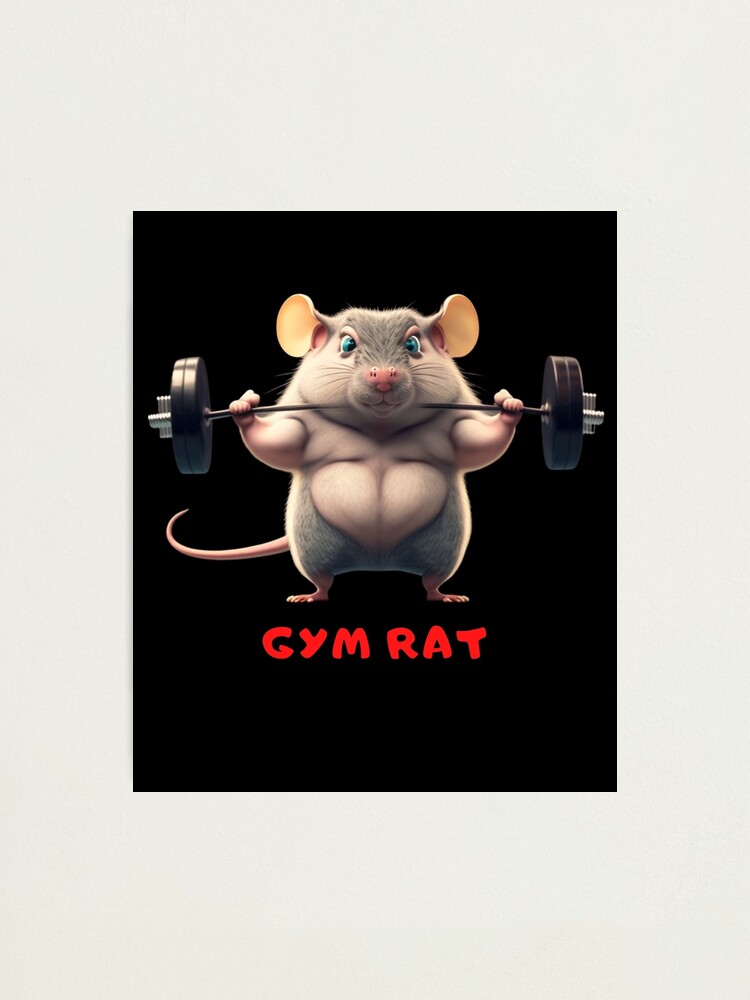 the.gym.rat