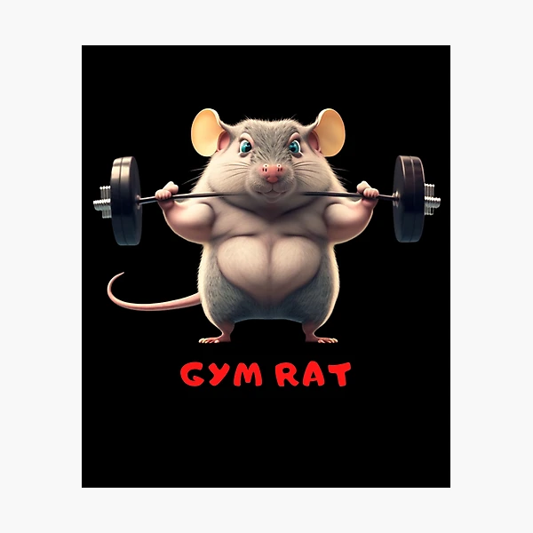 The gym rats : r/TheSquadOnPoint