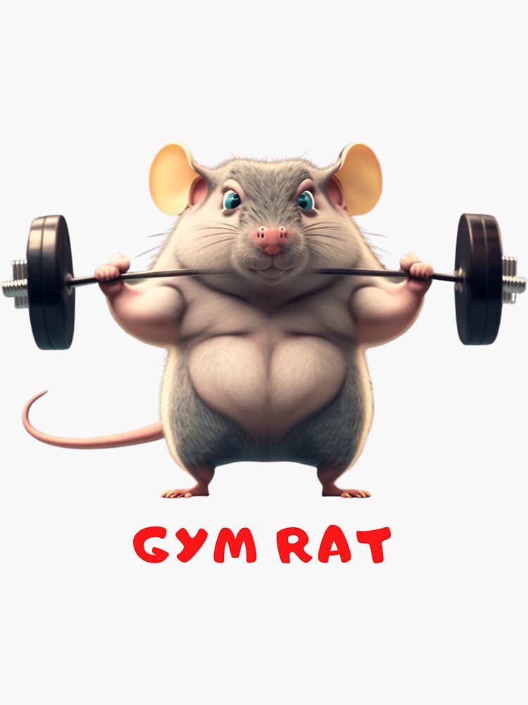 What is a Gym Rat? - NinjAthlete