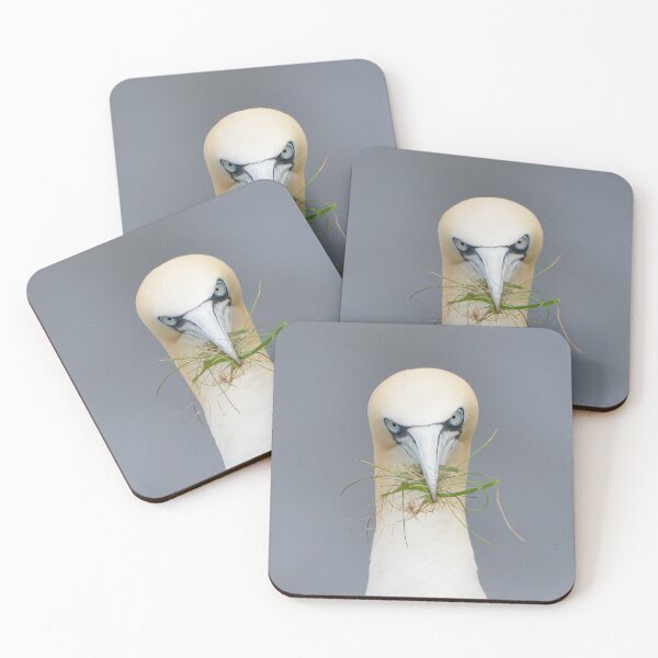 Item preview, Nesting Gannet, those eyes! designed and sold by ClaireChown.