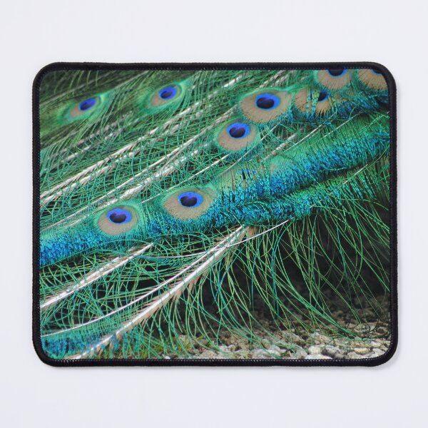 Item preview, peacock plumage designed and sold by iago rodriguez dopico.
