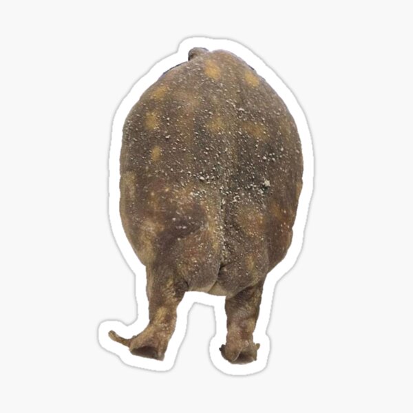 frog butt brown Sticker