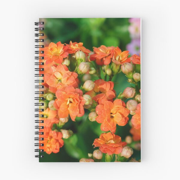 Item preview, orange Flowers #Aariv #Originals #Beautiful #Photo designed and sold by aariv.