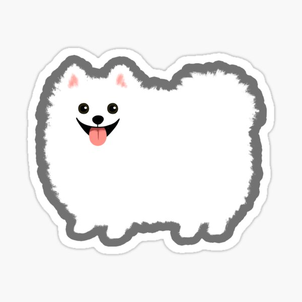 Fluffy White Pomeranian Sticker