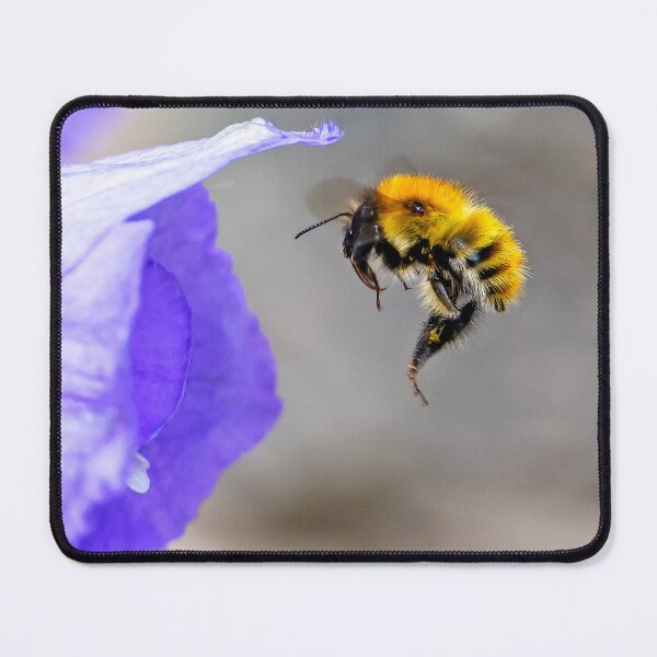 Item preview, Acrobatic Bumblebee designed and sold by George Kelsey.