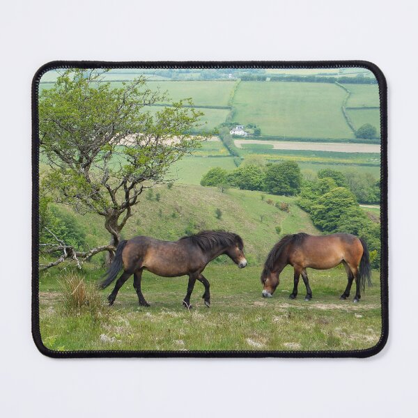 Item preview, Exmoor Ponies designed and sold by pinkal.