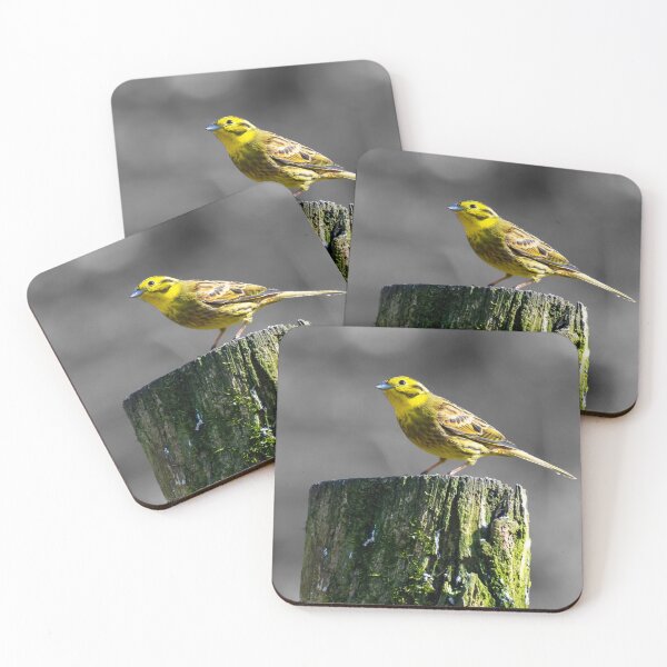 Item preview, Posing Yellowhammer designed and sold by George Kelsey.