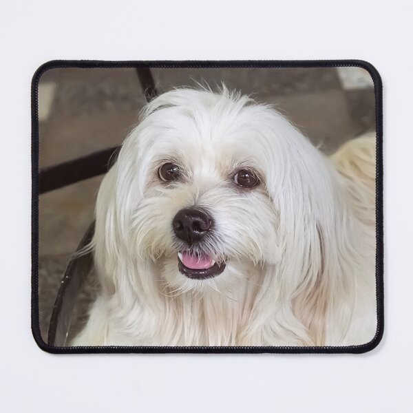 Item preview, sophie the cute pet dog designed and sold by likbatonboot.