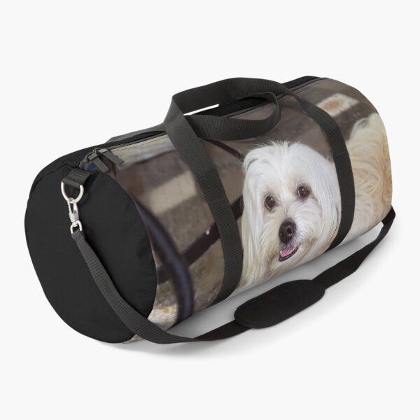 Item preview, sophie the cute pet dog designed and sold by likbatonboot.