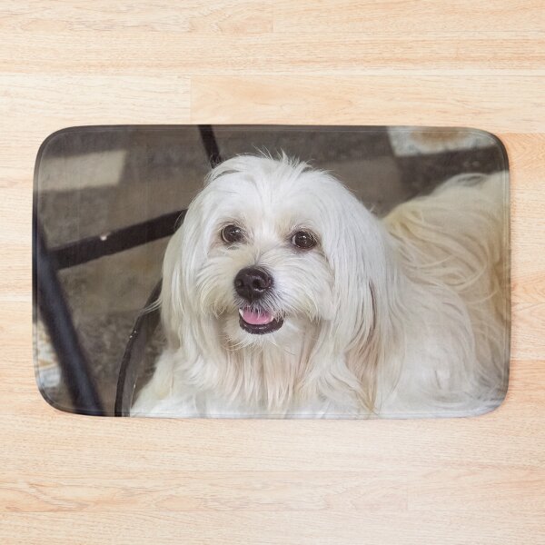 Item preview, sophie the cute pet dog designed and sold by likbatonboot.