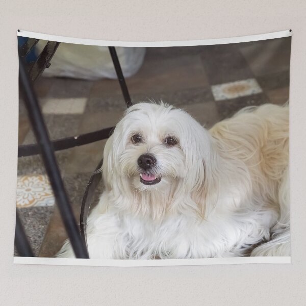 Item preview, sophie the cute pet dog designed and sold by likbatonboot.
