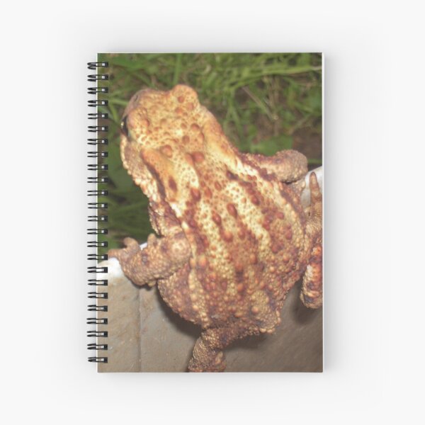 Now - How Do I Get Out Of Here? Spiral Notebook
