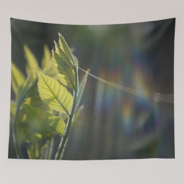 Item preview, Fresh Green Leaves With Spiderweb designed and sold by Nalinne Jones.