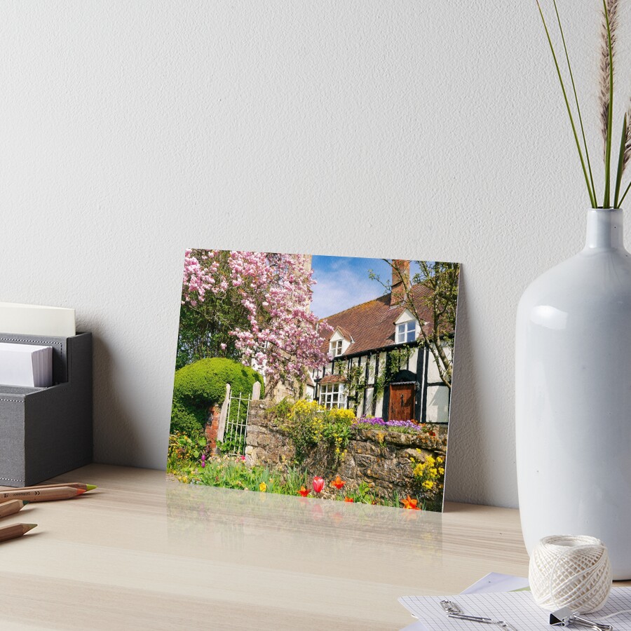 Item preview, Art Board Print designed and sold by ScenicViewPics.