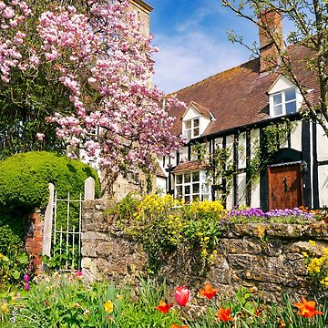 Artwork thumbnail, Springtime Cottage by ScenicViewPics