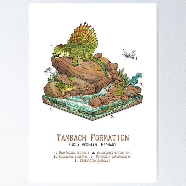 Item preview, Tambach Formation designed and sold by stieven.