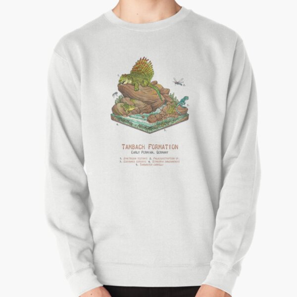 Tambach Formation Pullover Sweatshirt