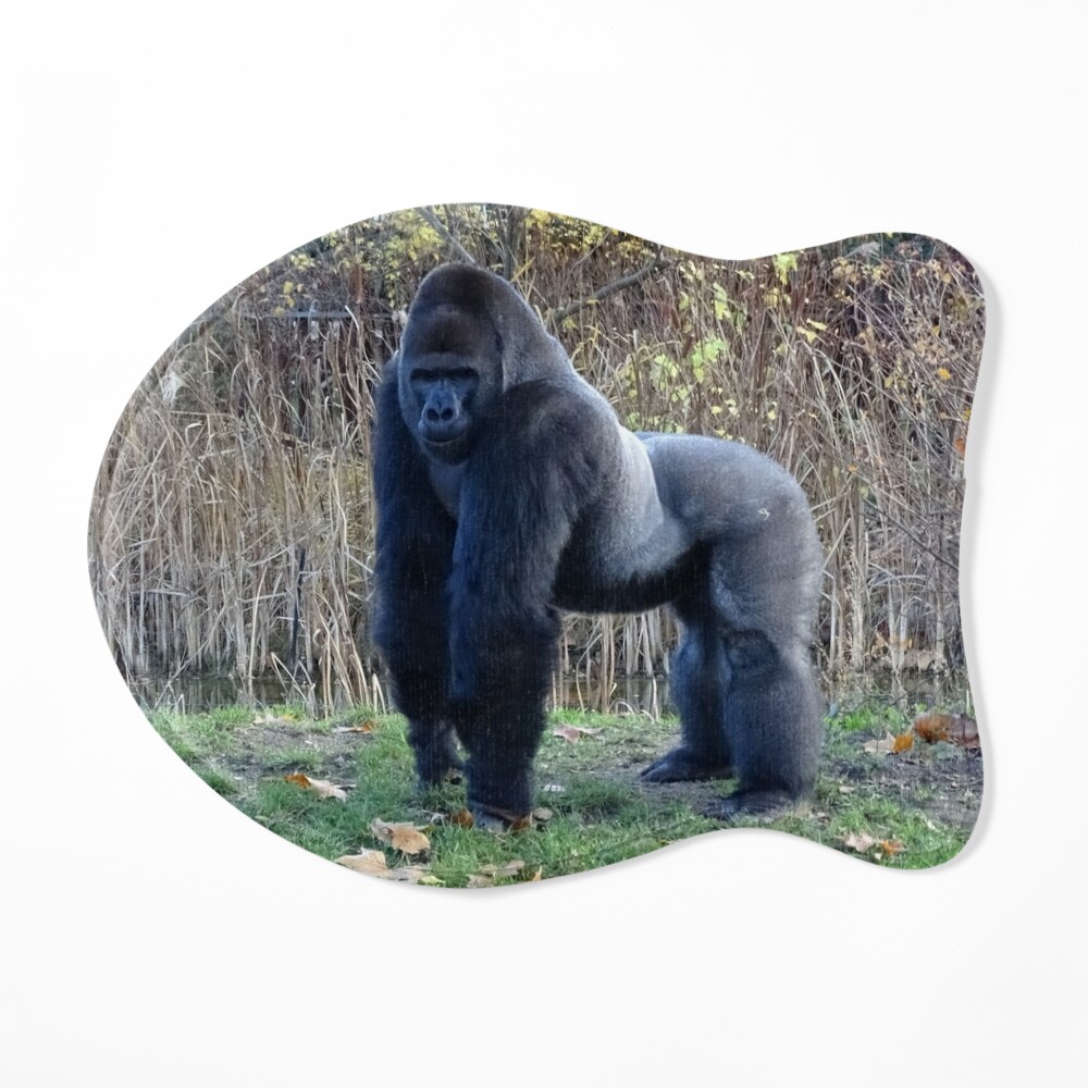 Gorilla Square Pillow