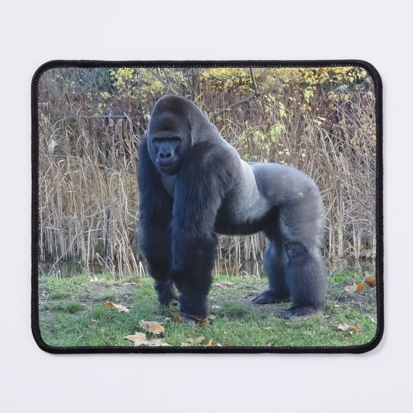 Item preview, Sexy Gorilla in the garden designed and sold by Catavan.