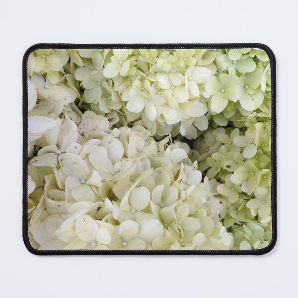 Item preview, Hydrangea designed and sold by Ladydi.