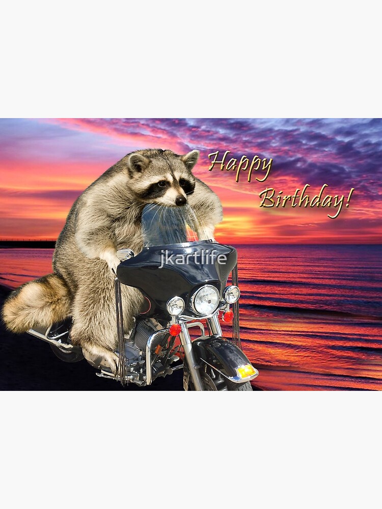 Carte De Vœux Anniversaire Raton Laveur Sur Moto Par Jkartlife Redbubble