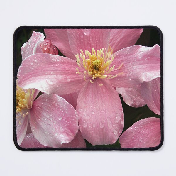 Item preview, Clematis in Rain designed and sold by Ladydi.