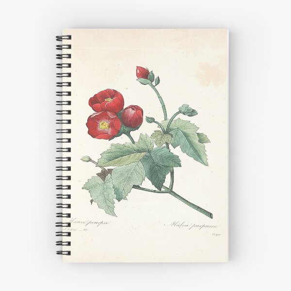 Item preview, Redouté Pierre Josephv: the most beautiful flowers designed and sold by MARWA-STORE.