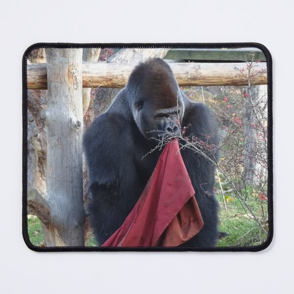 Item preview, Gorilla Play-time designed and sold by Catavan.