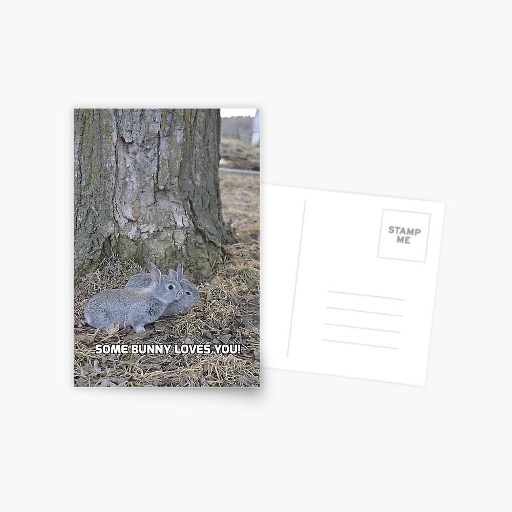 Item preview, Postcard designed and sold by TanyaHammond.