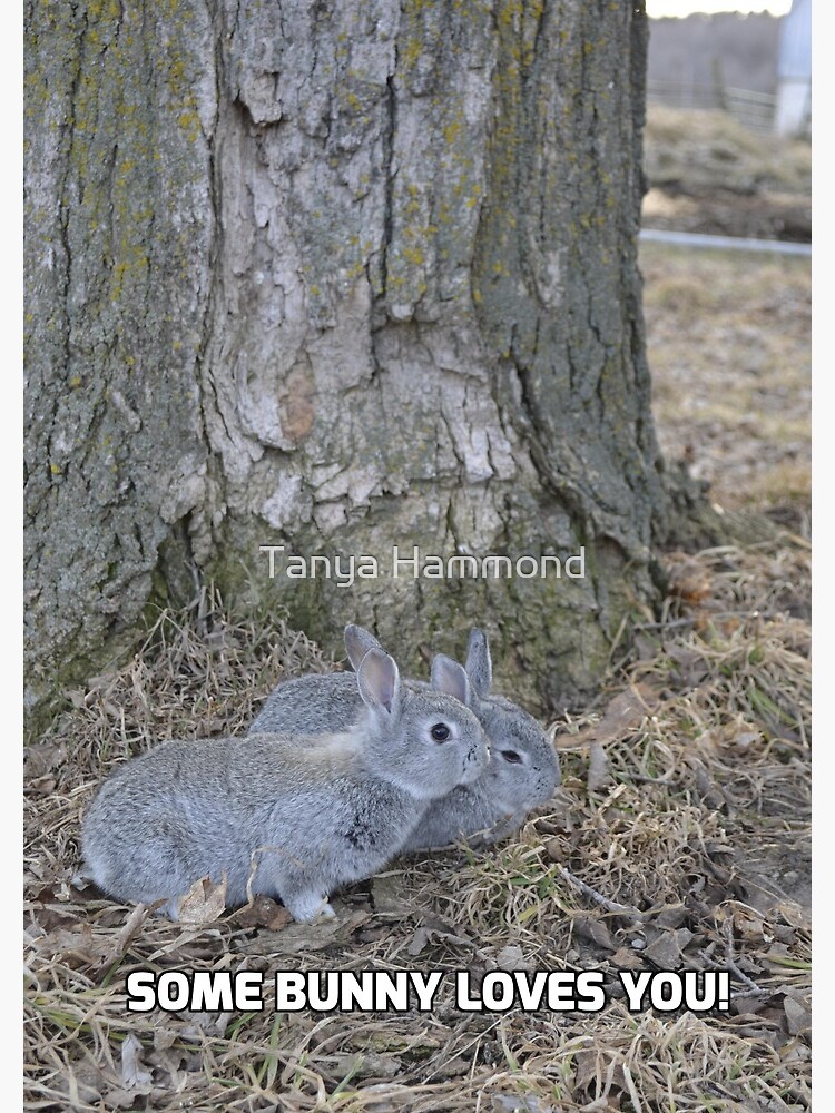 Some Bunny Loves You! by TanyaHammond