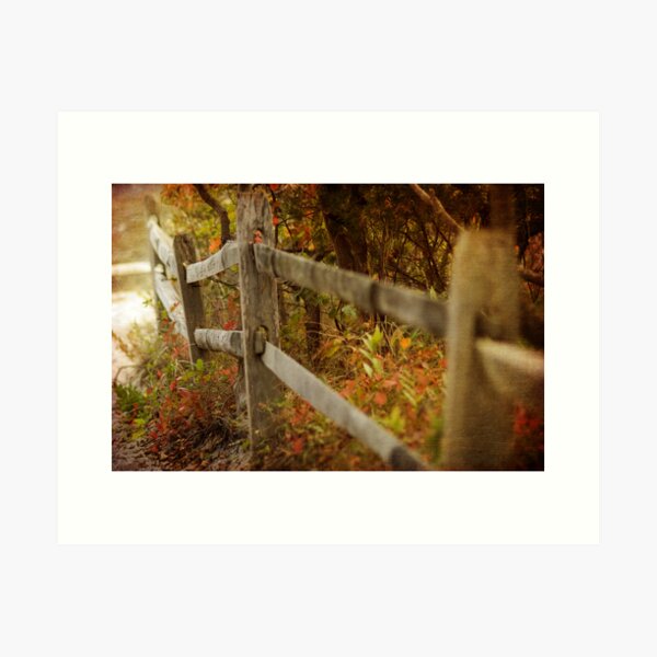 Fall Fence Art Print