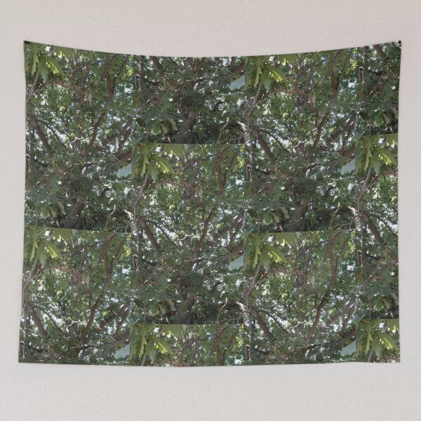 Item preview, Oak Tree designed and sold by amanda150771.