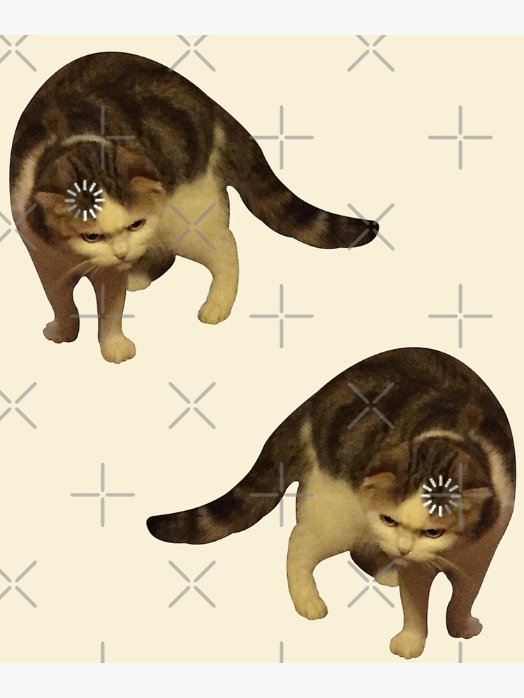 cat meme icon, Gallery posted by jaenpay