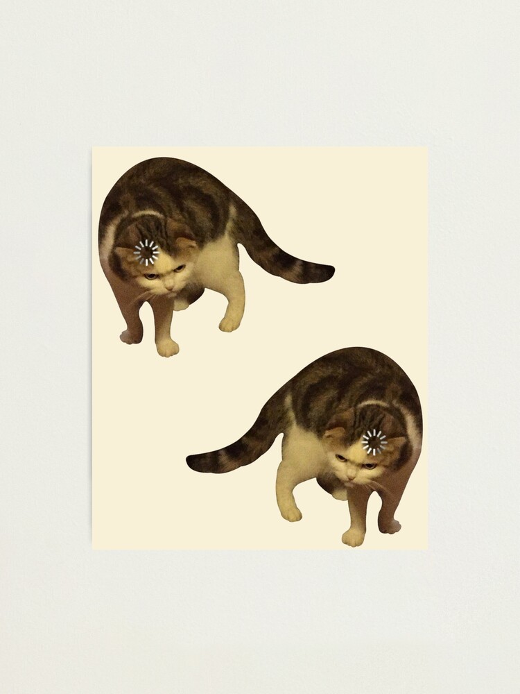 Cat loading icon meme | Photographic Print