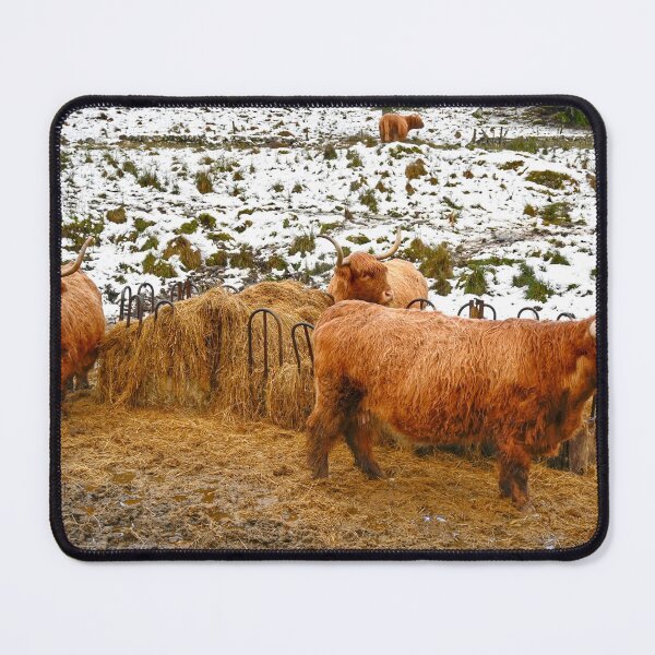 Item preview, Highland Cows designed and sold by MY Scotland.