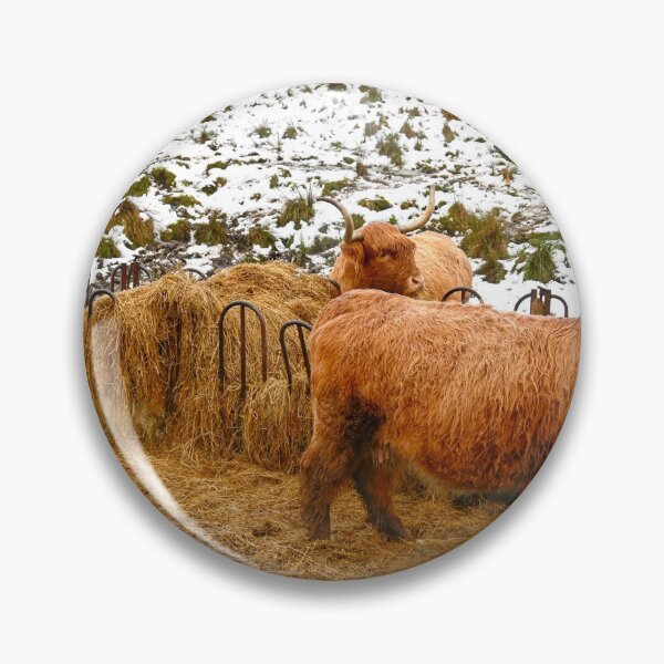 Item preview, Highland Cows designed and sold by MY Scotland.
