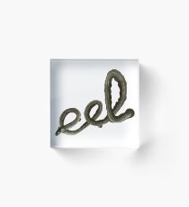 Green Eel Acrylic Block