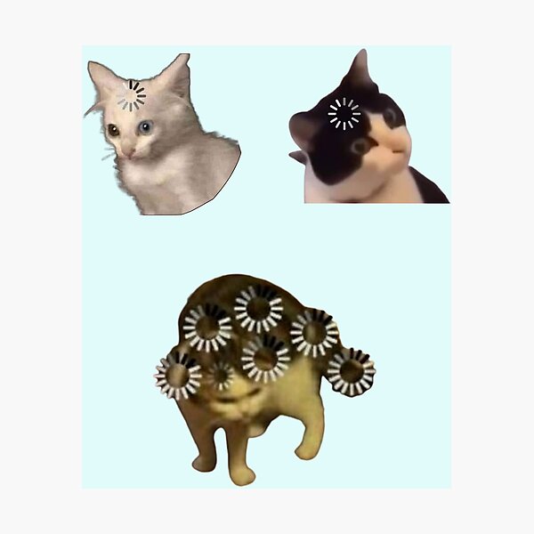 Cat loading icon meme | Photographic Print