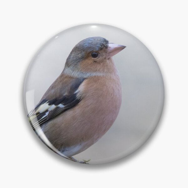 Item preview, Chaffinch designed and sold by LaurenTucker.