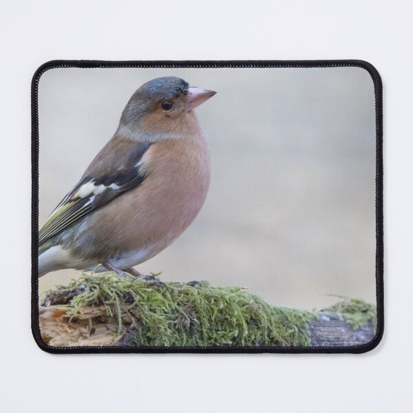 Item preview, Chaffinch designed and sold by LaurenTucker.