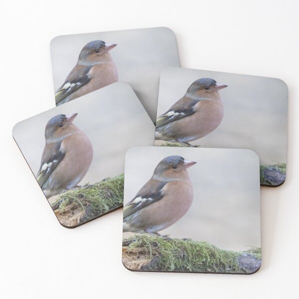 Item preview, Chaffinch designed and sold by LaurenTucker.