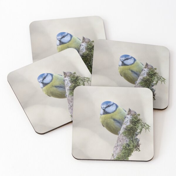 Item preview, Blue Tit designed and sold by LaurenTucker.