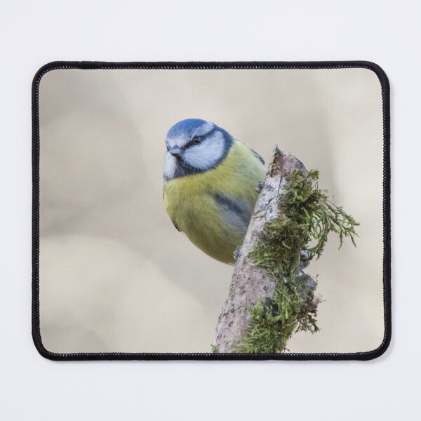 Item preview, Blue Tit designed and sold by LaurenTucker.