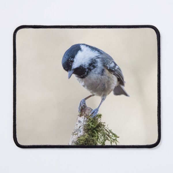 Item preview, Coal Tit designed and sold by LaurenTucker.