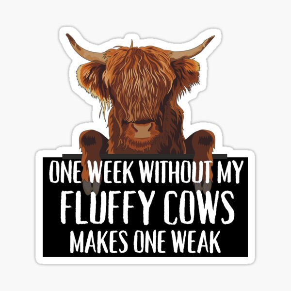 "Fluffy Long Hair Brown cows Highland Cow jokes " Sticker for Sale by FarmsteadAcers Redbubble