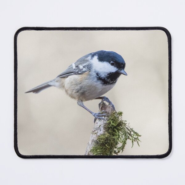 Item preview, Coal Tit designed and sold by LaurenTucker.